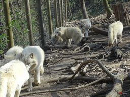 Tiergarten Schönbrunn am 23.03.2023